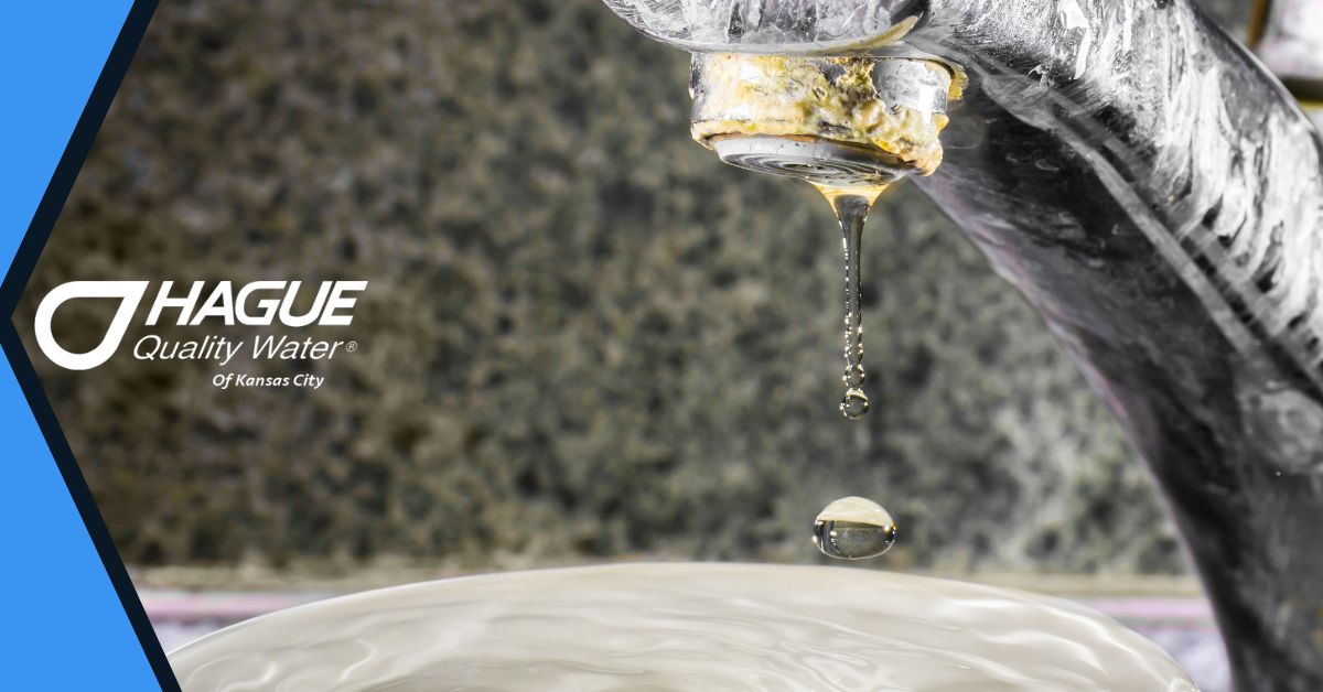 Hague Quality Water Of Kansas City Inc Olathe Reviews